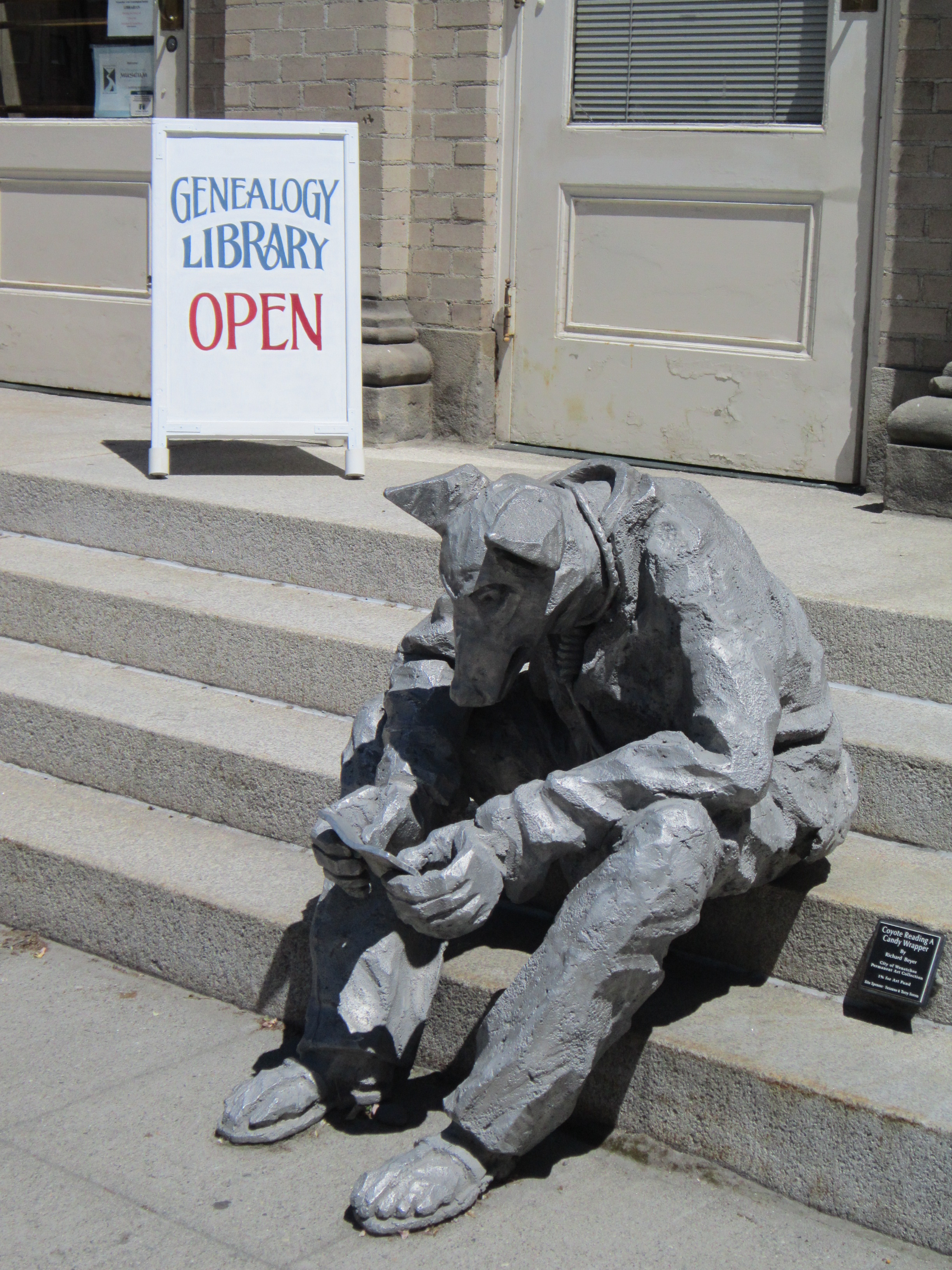 wenatchee-area-gs-coyote